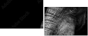 41216080