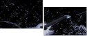 41836378