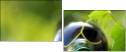 4185786