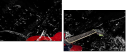41997356