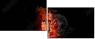 42055201