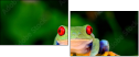 42467641