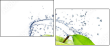 42523876