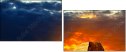 42751455
