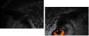 43647000