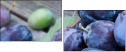 43823181