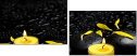 43880281