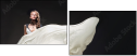 43882892