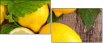 43956293