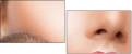 44016829