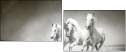 44040199