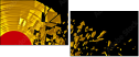 44107943