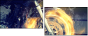44513286