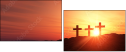 44589020