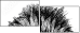 44646006