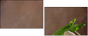 44772824