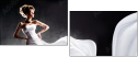 44818291