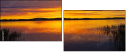 45070477