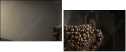 45539882