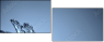 45608102