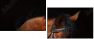 46187059