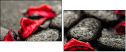 46381163