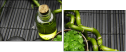 46925109
