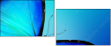 47013557