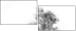 47020348