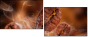 47749181