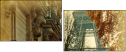 47848489