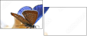 48135566
