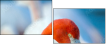 48485872