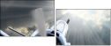 48499530