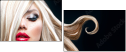 48880493
