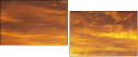 48905885