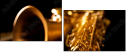 49029894