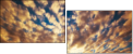 49042592