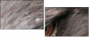 49245808