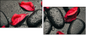 49357610