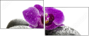 49566180