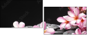 49631888