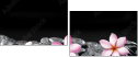 49632963
