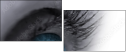 49921743