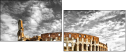 50130515