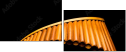 50197019