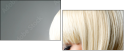 50250548