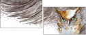 50509602