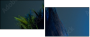 50564432