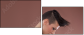 50744690